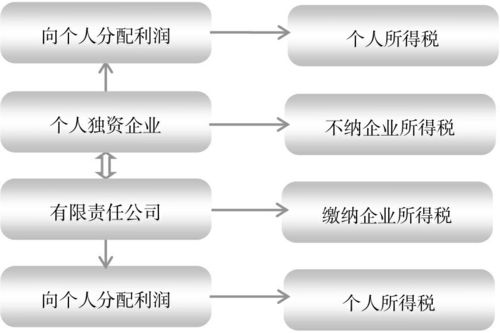 餐飲業(yè)稅負(fù)優(yōu)化 有限責(zé)任公司轉(zhuǎn)為個(gè)人獨(dú)資企業(yè)的策略分析